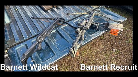 Barnett Blackcat Wildcat Crossbow First Shots Youtube