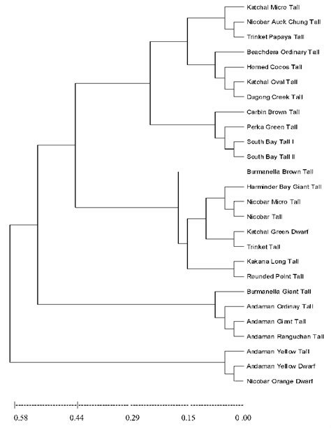 Upgma Dendrogram Showing Clustering Pattern Between The Coconut