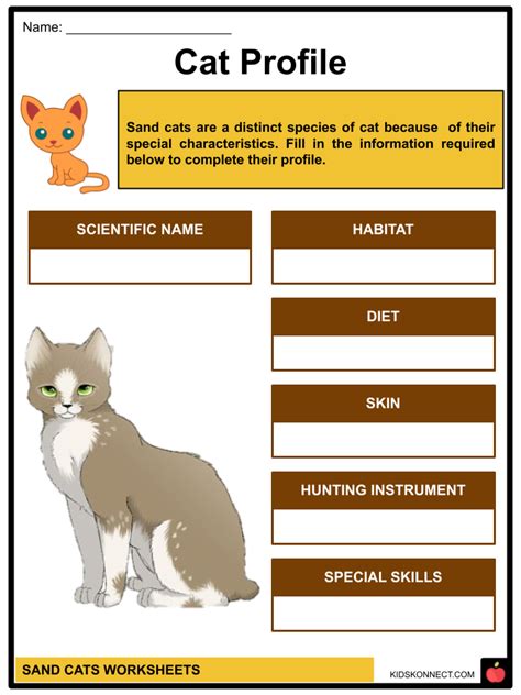 Sand Cat Worksheets & Facts | Taxonomy, Anatomy, Habitat