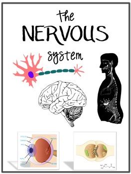 Anatomy And Physiology Binder Covers By Biology Roots Tpt