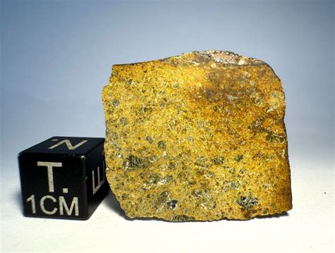 Slice Of Diogenite Probably Paired To Nwa Achondrite Meteorite