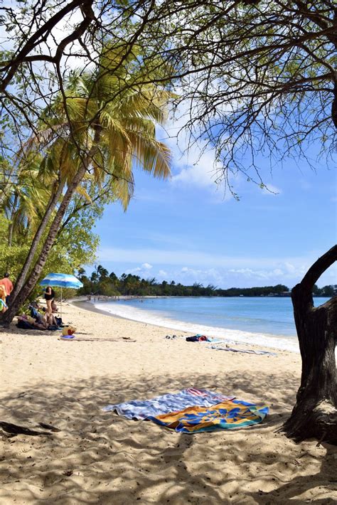 Top 10 Des Plus Belles Plages De Martinique Artofit