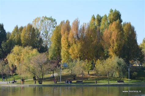 Toamna In Bucuresti Parcul Alexandru Ioan Cuza Ior Blog De