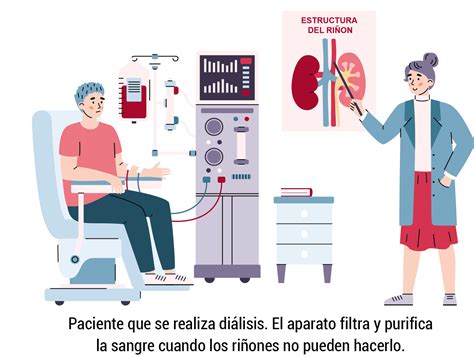 Ingresos Equilibrio Mala Suerte Cuales Son Las Principales Enfermedades