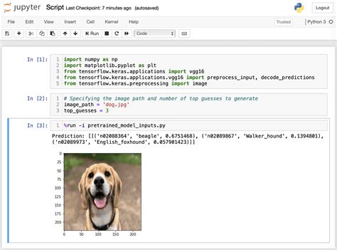 Running And Passing Information To A Python Script