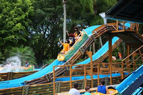 5 atrações de tirar o fôlego no Beto Carrero World Destino Beto