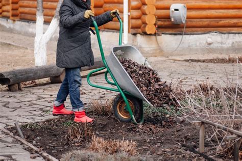 Comment Vos Feuilles Mortes De L Automne Peuvent Sauver Vos Plantes Cet