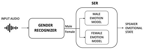 Sensors Free Full Text Gender Identification In A Two Level Hierarchical Speech Emotion