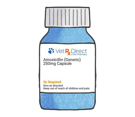 Amoxicillin For Dogs And Cats Antibiotic For Pets Vetrxdirect