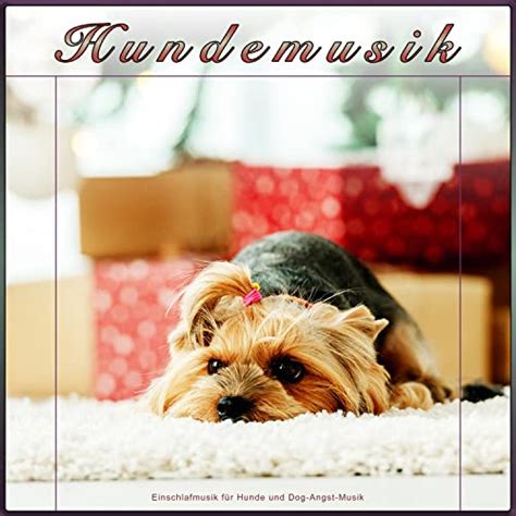 Einschlafmusik für Hunde 15 besten Produkte im Vergleich