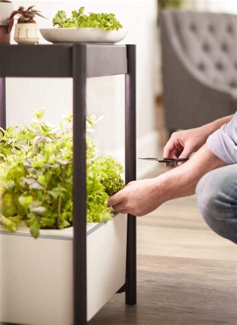 How To Use The Miracle Grow Twelve Indoor Growing System Modern