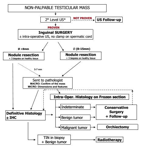 Histology Flow Chart Ponasa