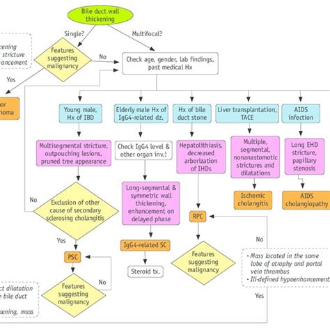 Characteristics of IgG4 sclerosing cholangitis (IgG4-SC) versus primary ...