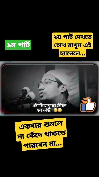 আল্লাহ আমাদের সবাইকে হেদায়েত দান করুন আল্লাহ আমাদের সবাইকে মাফ করুন