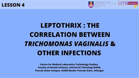 Leptothrix The Correlation Between Trichomonas Vaginalis And Other