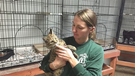 Pickens County Animal Shelter Faces Dire Need