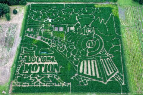 Ohio's #1 Corn Maze | Best Corn Maze in Hartville, Ohio