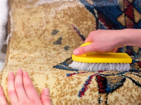 How to Wash Rugs for Best Results - 2024 Guide - InSerbia News