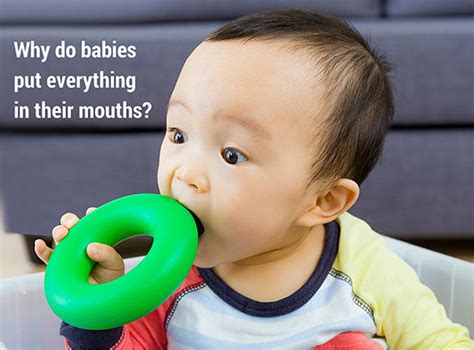 Why Do Babies Put Everything In Their Mouths Ark Products Llc