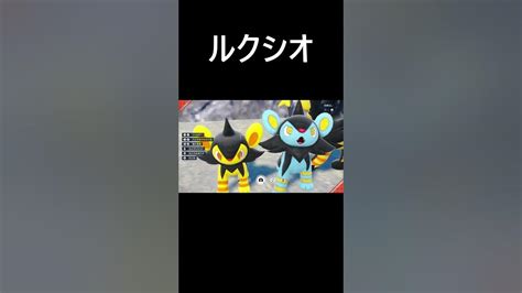 コリンク色違い【ポケモンsv／スカーレット】 Shorts Youtube