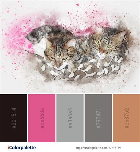 109 Tabby Cat Color Palette Ideas In 2024 Icolorpalette