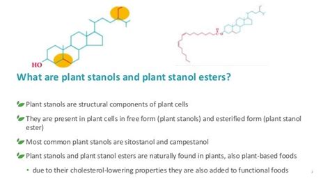 Plant stanols and plant stanol ester