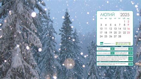 ibuhgalter.net | Шпалери для робочого столу бухгалтера на лютий
