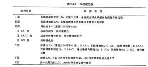 关于狼疮性肾炎的病理分型都有哪些？