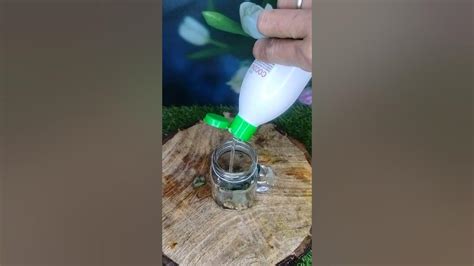 💯😱 Hair Oil For Fast Hair Growth #hairgrowthhomeremedy |#shorts# ...