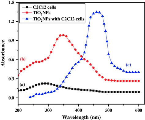 The Absorption Spectra Of Tio 2 Nps Anatase Phase A C2c12 Cells Download Scientific