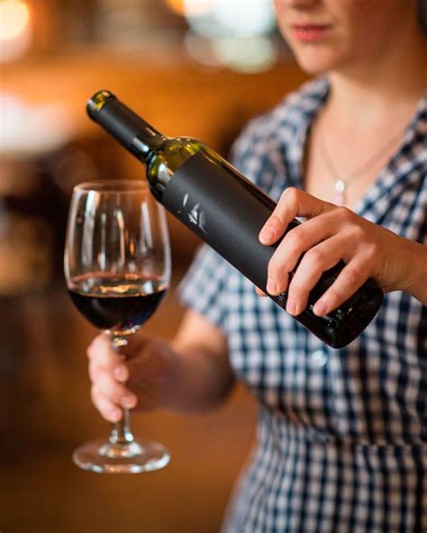 Vinho Bom Custo Beneficio - Vinho argentino bom e barato: 7 opções custo-benefício