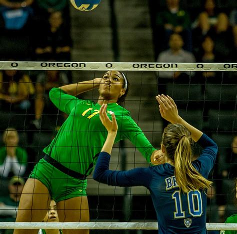 Volleyball Ducks Vs Bruins Photos Kval