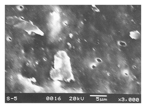 Scanning electron micrographs showing the various stages of experiments ... 