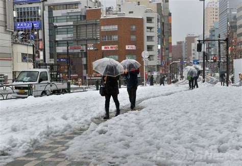 関東甲信地方などで大雪、車の立ち往生相次ぐ 写真15枚 マリ・クレール スタイル ムッシュ Marie Claire Style Monsieur