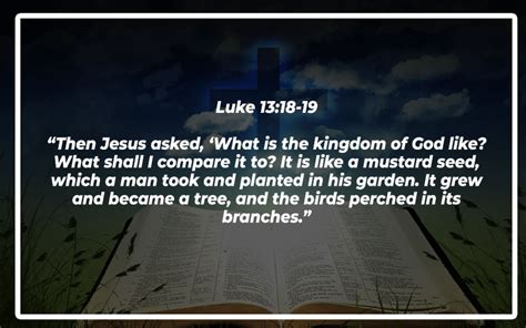 Notable Bible Verses About Seeds Bible Repository