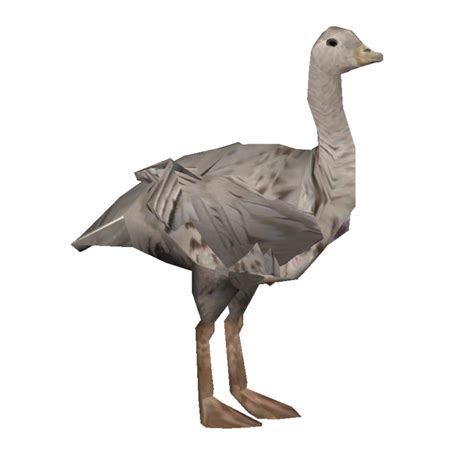 Categoryextinct Waterfowl Zt2 Download Library Wiki Fandom Powered