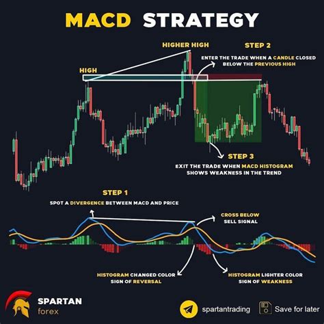 Macd Strategy Dont Forget To Save In Forex Trading Training