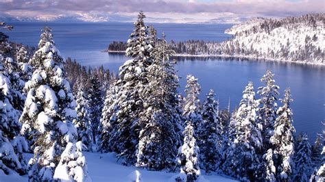 Lake Tahoe Winter Wallpapers Wallpaper Cave