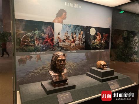 古dna如何探寻人类起源秘密？国家博物馆“中华大地百万年人类史”展 化石网