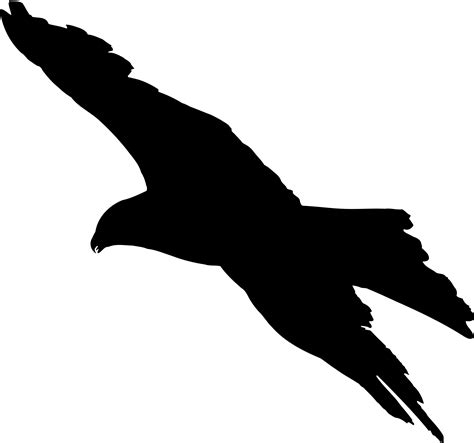 Eagle Silhouette Png - PNG Image Collection