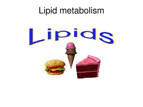 Ppt Lipid Metabolism Powerpoint Presentation Free Download Id4187488