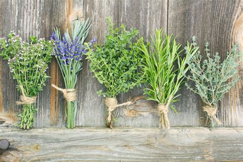 5 Herbs To Calm Anxiety (Without Being Drowsy) | FOOD MATTERS®