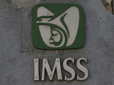 Todo Lo Que Necesitas Saber Sobre El Imss