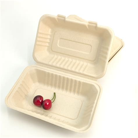 Disposable Takeaway Biodegradable 9X6X3 Take Out Box Sugarcane Bagasse