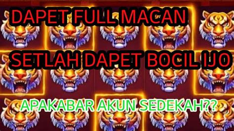 Jacpot Full Macan Room Panda Mantap Kali Up Setiap Hari YouTube