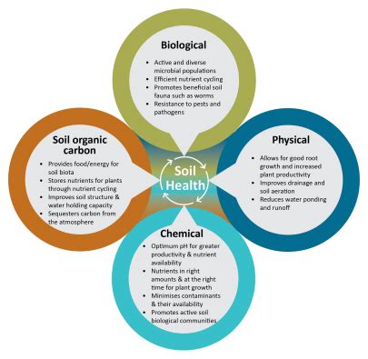 Soil Health Factsheets Manaaki Whenua