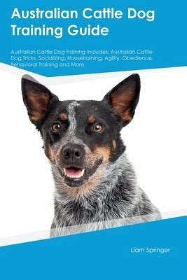 Australian Cattle Dog Training Guide Australian Cattle Dog Training ...