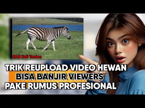 RUMUS KONTEN PROFESIONAL Trik Reupload Video Hewan Agar Rame Views