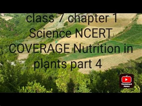 Class 7 Chapter 1 Science NCERT COVERAGE Nutrition In Plants Part 4