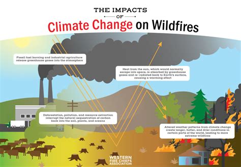 How Wildfires And Climate Change Are Connected Wfca